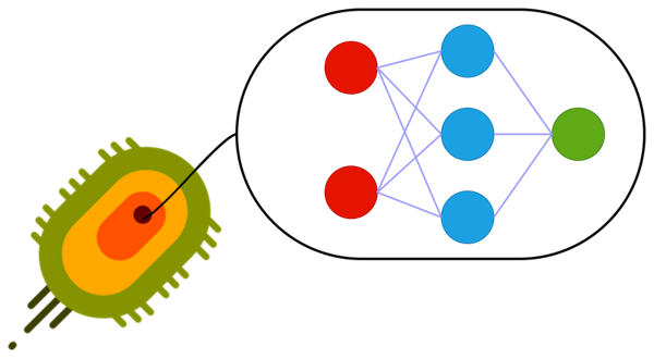 AI and life experiments. Basis